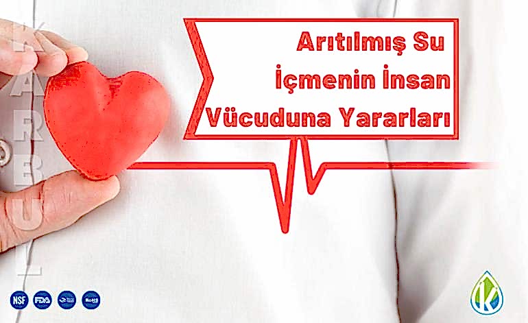 Arıtılmış Su İçmenin İnsan Vücuduna Yararları